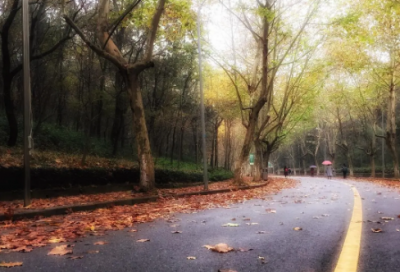 ​毕业伤感怀念的句子