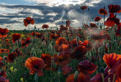 ​男人心累了的感情句子 关于男人心累的伤感句子