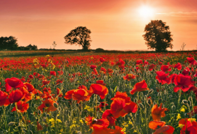 ​感情说说伤感的句子 感情说说伤感的句子自己傻的