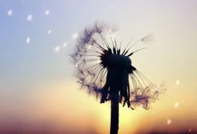 ​夜晚喝酒的朋友圈说说 关于夜晚喝酒的伤感说说