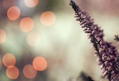 ​愁的诗句伤感的句子 失恋诗句伤感的句子(精选81句)