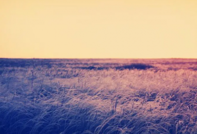 ​感觉越来越疏远的伤感句子大全(精选65句)