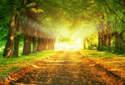 ​让前任看哭了的伤感说说(精选53句)