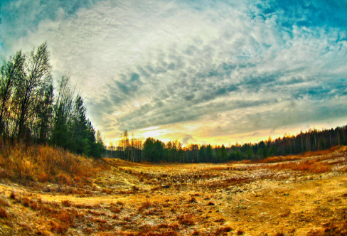 1708647099815781.png image.png