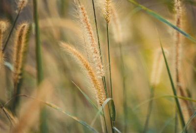 ​分手了让对方看到心疼的伤感句子(精选71句)