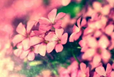 ​伤心的流泪的说说 伤感眼泪的句子说说心情