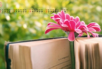 ​短个性签名伤感