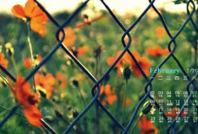 ​关于高考的伤感句子