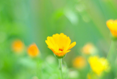 ​伤感个性签名女生伤感