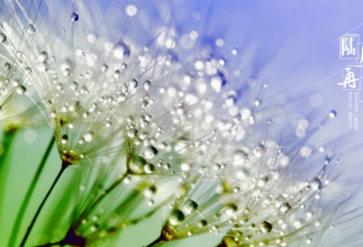 ​伤感短个性签名