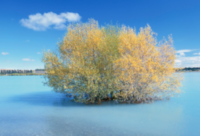 ​伤感个性签名长点的