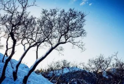 ​失望到无语发朋友圈的伤感说说(精选67句)