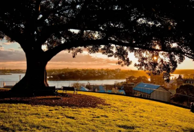 ​非主流伤感句子火星文 非主流伤感姐妹句子火星文