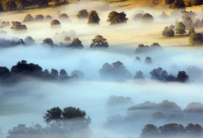 ​成年人的世界说说 成年人的伤感说说(精选76句)