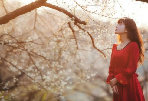 1711813396712560.png image.png