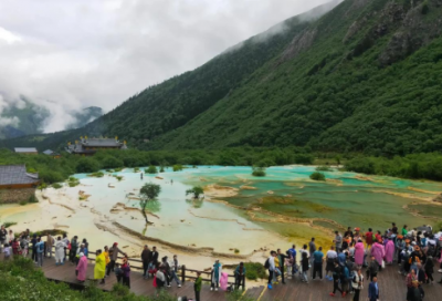 ​关于落叶的伤感句子