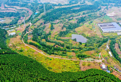 ​秋天伤感的句子