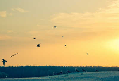 ​想念却又不能相见的伤感说说(51句)