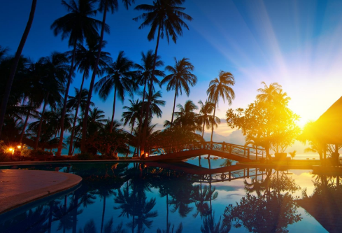 1715505235482275.png image.png