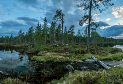 ​人活着好累的伤感句子 活着好累的悲伤句子