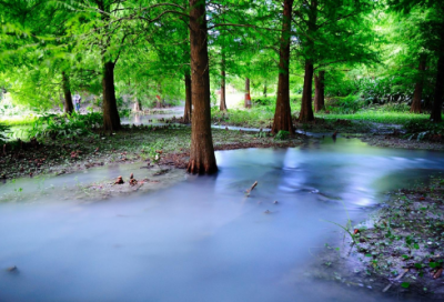​一厢情愿的伤感句子
