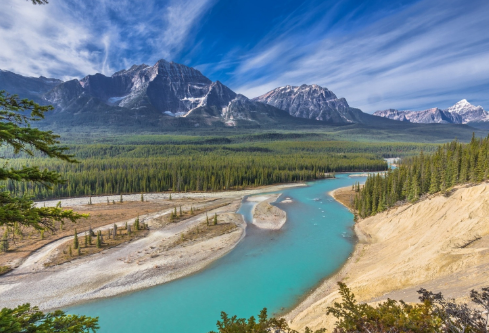 1715509721531236.png image.png