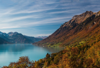 ​关于爱情的五字诗句