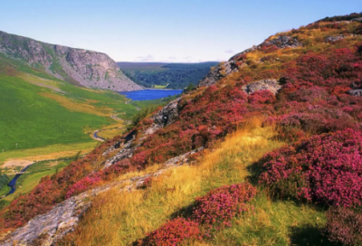 ​元宵节的诗句关于元宵节的诗句大全元宵节的古诗词名句