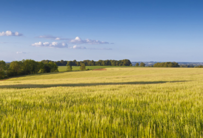 ​“但得众生皆得饱，不辞羸病卧残阳”全诗出处作者翻译赏析
