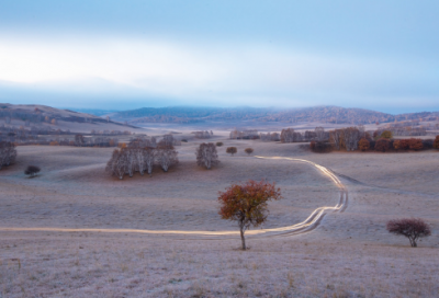 ​关于借月抒怀的诗句,月是故乡明