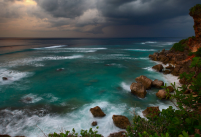 ​关于鹤的古诗