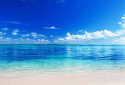 ​《蜀中九日》王勃诗翻译赏析：九月九日望乡台，他席他乡送客杯