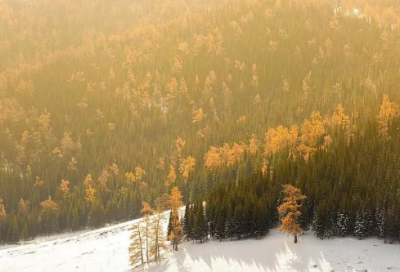 ​关于爱情的诗词：无情不似多情苦