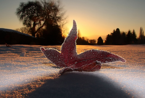 1715531680234707.png image.png