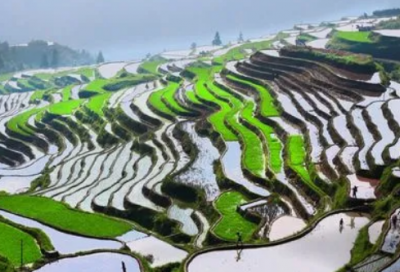 ​关于中秋节的诗词名句：至今不会天中事，应是嫦娥掷与人