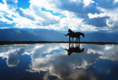 ​关于“劝学勉励”的古代诗词名句