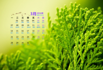 ​关于金婚的诗词