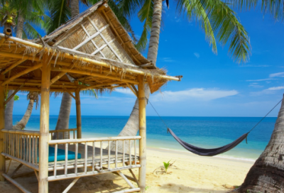 ​“深林人不知”的下一句及全诗出处作者注释翻译赏析