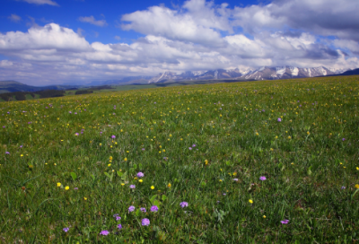 ​《富池口》王周诗翻译赏析：山密碍江曲，雨多饶地寒