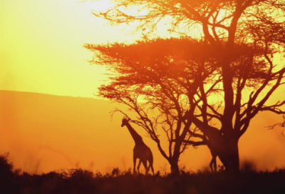 ​“农夫方夏耘，安坐吾敢食”全诗出处作者翻译赏析