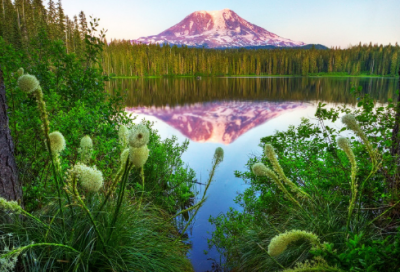 ​“竹外桃花三两枝，春江水暖鸭先知”全诗出处、作者、赏析