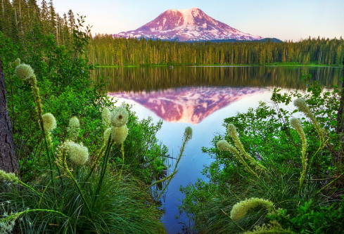 1715540810851554.png image.png