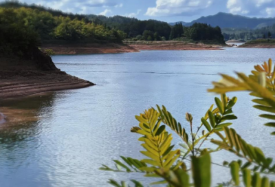 ​孔子经典语录原文翻译