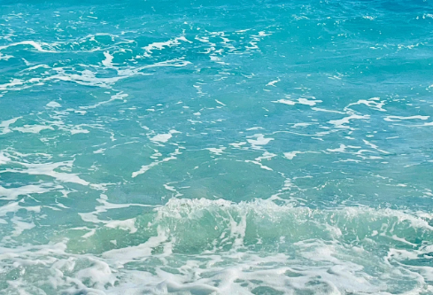 1764948220190863.png image.png