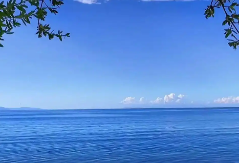 1764949385419837.png image.png