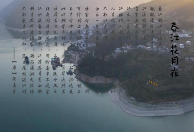 ​狗的标语55句