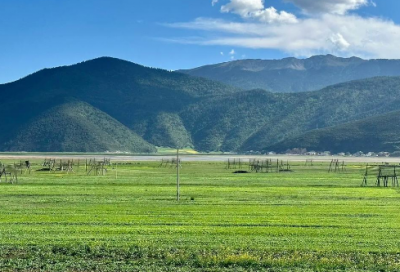 ​班级八字口号85句