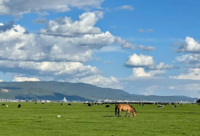 ​卤味店宣传口号83句