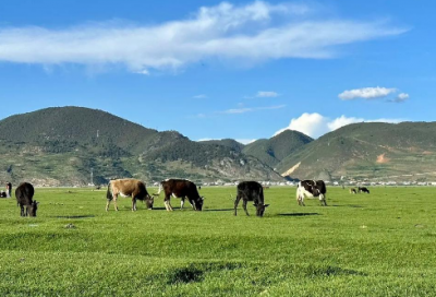 ​霸气口号大全字的85句