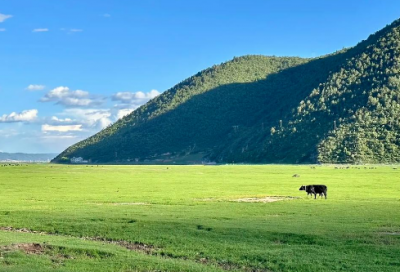 ​2025年汽车销售年会口号54句